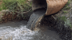 The River Trust sewage pollution