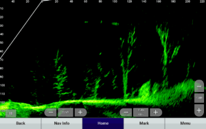 LiveScope-XR-sonar-screen