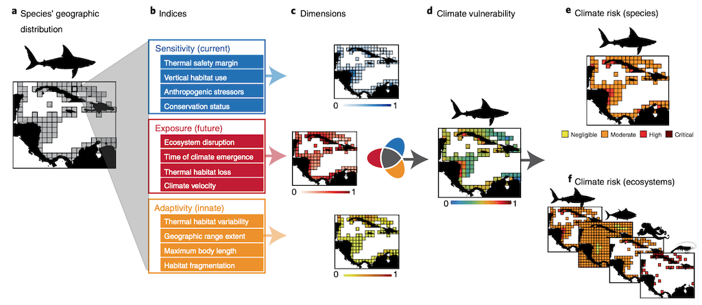 Graphic showing the CRIB framework 