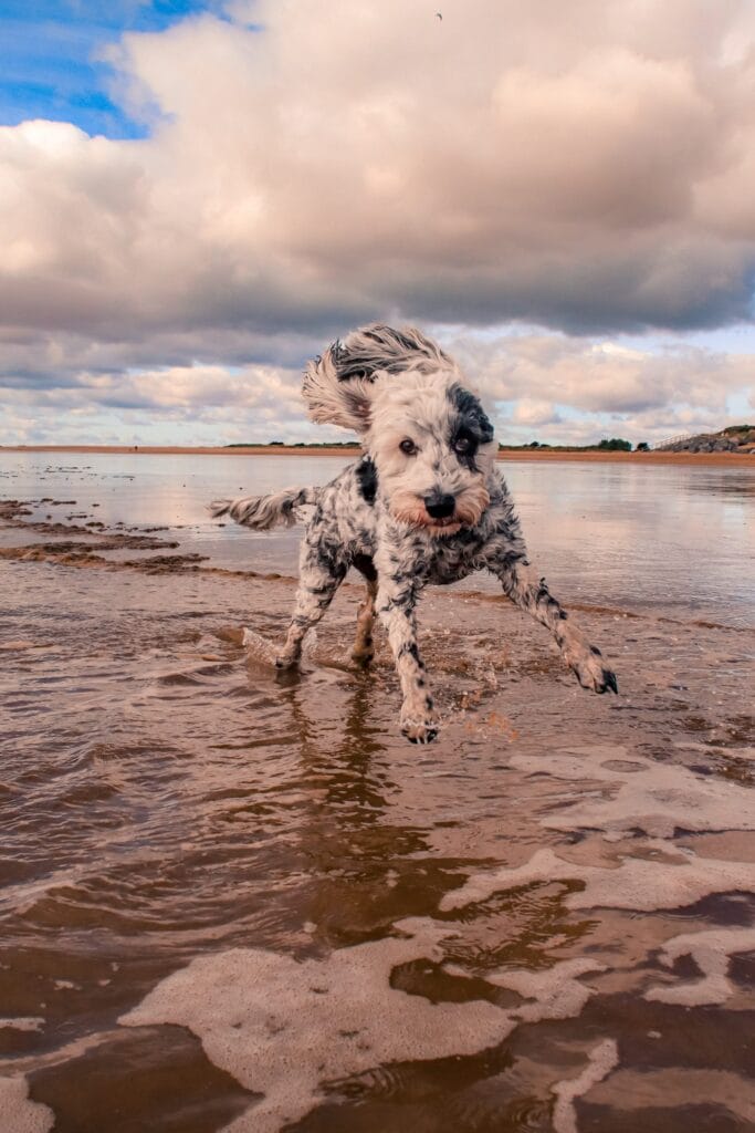 People and Recreation: Jason Thompson – ‘My Playground’ taken on Skegness Beach