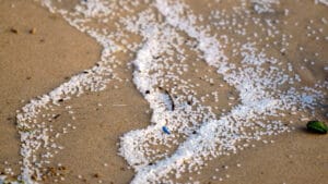 Marine litter with nurdles on a beach in Sri Lanka