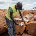 FSC Yachting for Forests