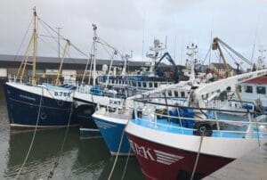 Fishing boats