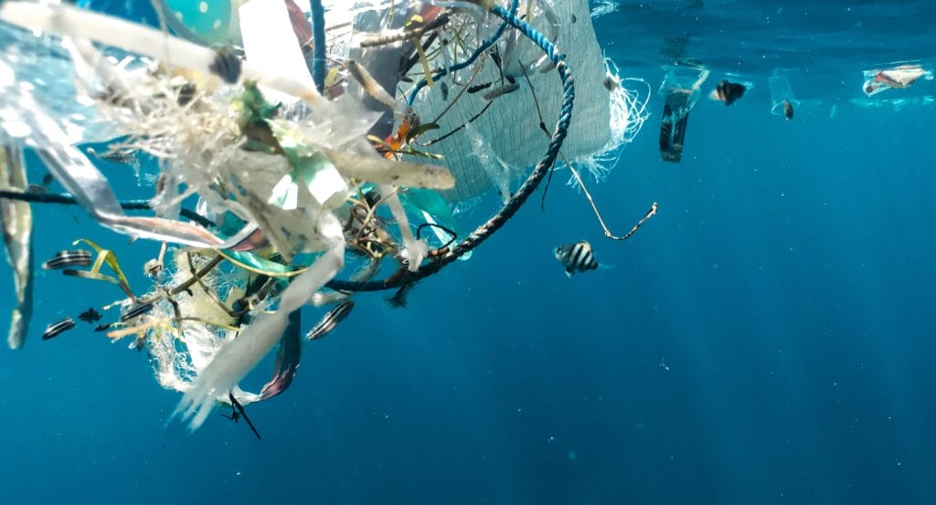 plastic floating in the ocean with fish swimming