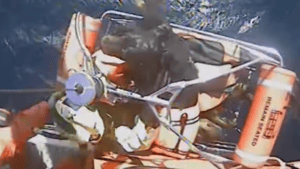 Coast Guard Airlifts Dogs From Sinking Boat Off Oregon Coast