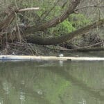 boat under the water