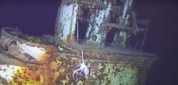 An octopus clambers up the side of US WWII submarine - Harder - discovered in South China Sea