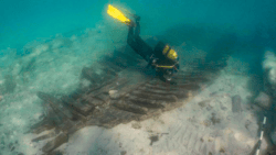 diver examines bones of boat wreck underwater. This is Roman boat found near Formentera where new IBEAM centre being set up