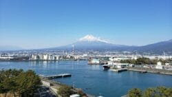 View of Mount Fuji with marina in the foreground.