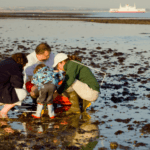 volunteers surveying a beach in the UK