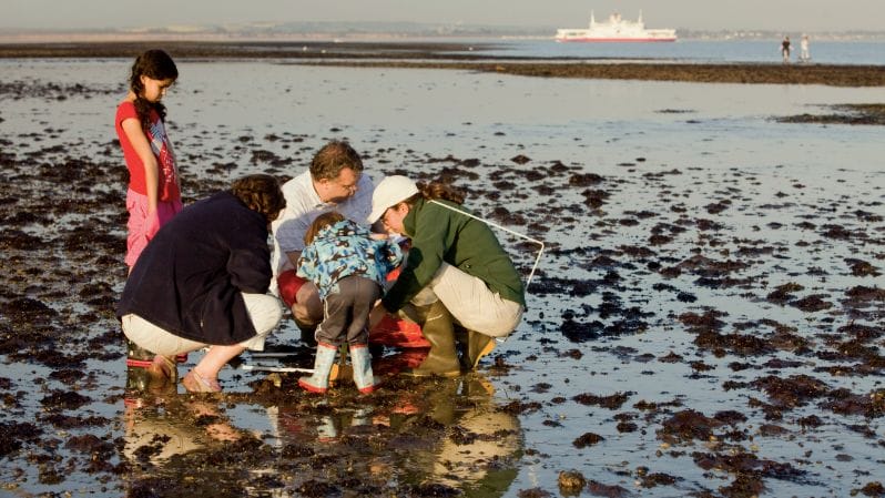 volunteers surveying a beach in the UK