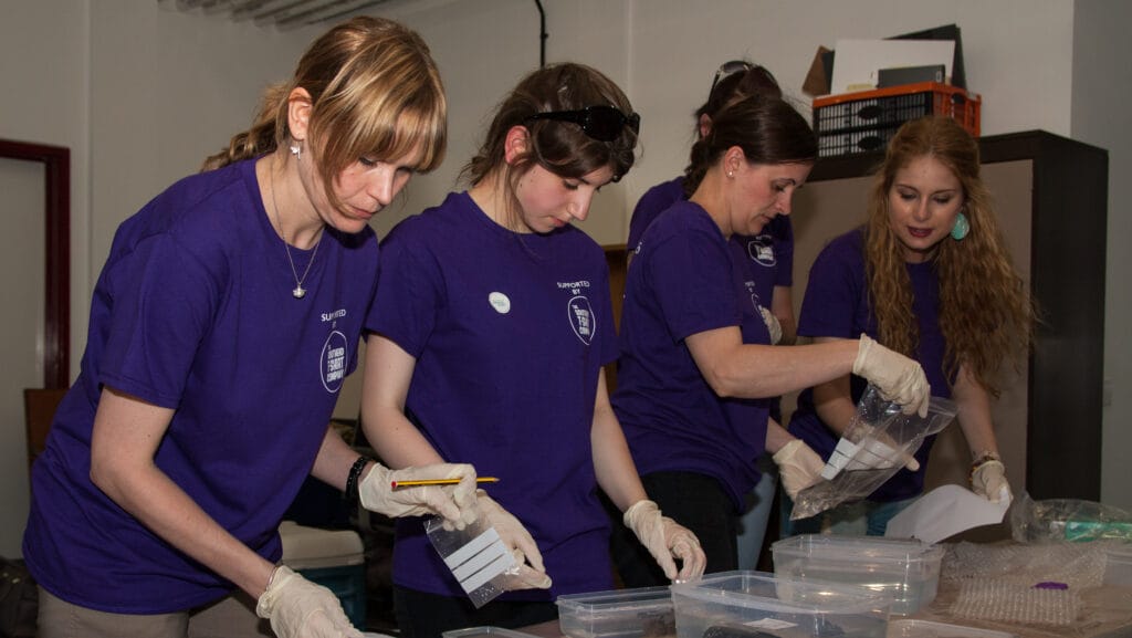 volunteers recording wreck finds