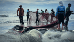 People fishing stand on beach as profession revealed as world's most dangerous