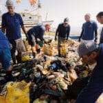 people collecting and sorting marine litter