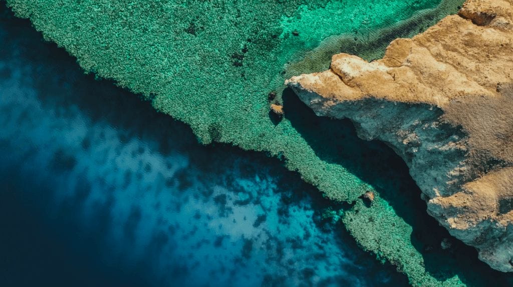 Aerial view of Saudi Red Sea showing clarity of water against rocks and green vegetation