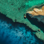 Aerial view of Saudi Red Sea showing clarity of water against rocks and green vegetation